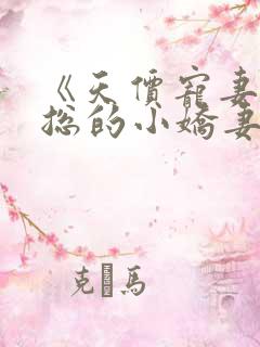 《天价宠妻:霍总的小娇妻》