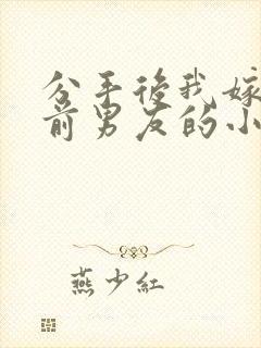 分手后我嫁给了前男友的小叔小说