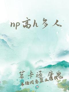 np高h多人