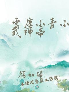 云尘小青小说天武神帝
