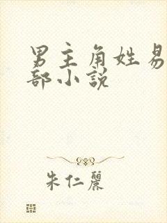 男主角姓易的全部小说