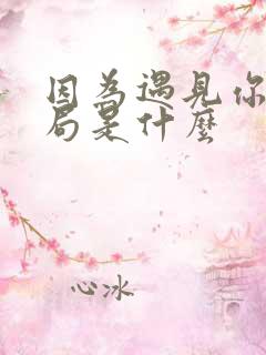 因为遇见你大结局是什么