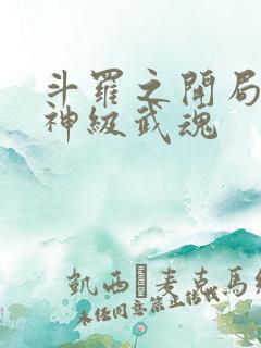 斗罗之开局签到神级武魂