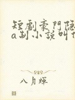 短剧豪门隐婚aa制小说叫什么
