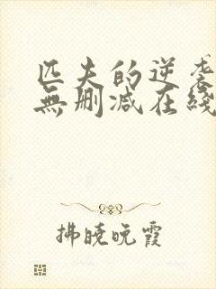 匹夫的逆袭小说无删减在线阅读