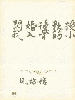 闪婚后教授他宠我入骨的小说