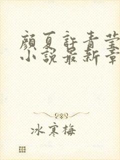 颜夏许青莹谢琅小说最新章节更新时