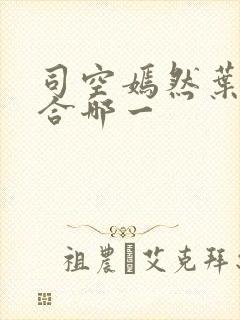 司空嫣然叶凡结合哪一