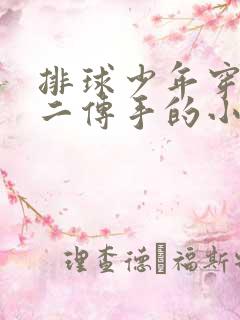 排球少年穿越成二传手的小说