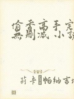 偷香高手完整版无删减 小说