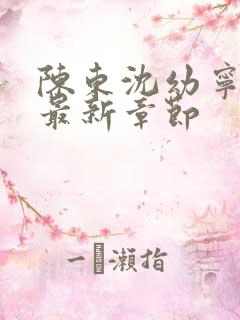 陈东沈幼宁小说最新章节