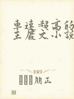 车速超高的双男主废文小说