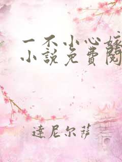 一不小心嫁总裁小说免费阅读