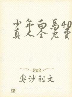 少年白马40集真人全免费观看