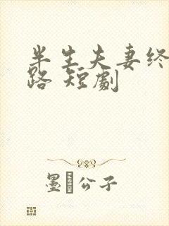 半生夫妻终成陌路 短剧