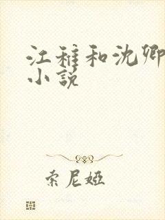 江稚和沈卿尘的小说