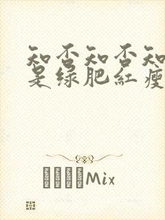 知否知否知否应是绿肥红瘦是什么朝代
