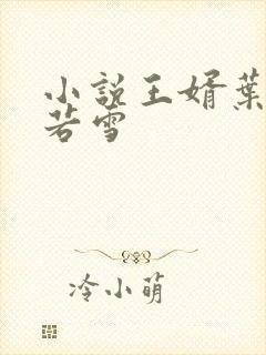 小说王婿叶凡唐若雪