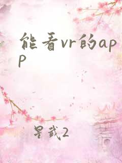 能看vr的app