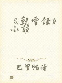 《朝雪录》原著小说