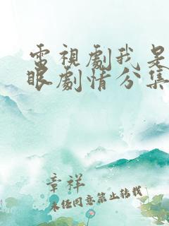 电视剧我是你的眼剧情分集介绍