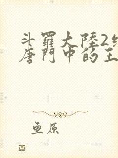 斗罗大陆2绝世唐门中的王冬
