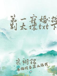 第一宠婚:总裁别太坏txt下载
