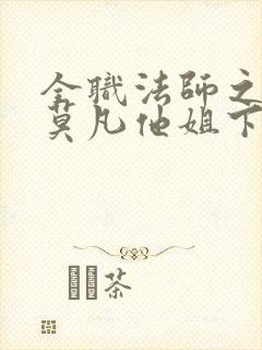 全职法师之我是莫凡他姐下载