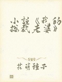 小说《我的冷艳总裁老婆》