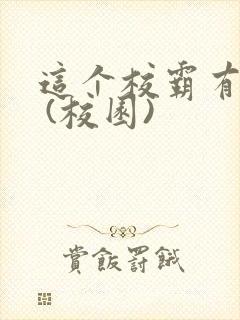 这个校霸有点甜 (校园)