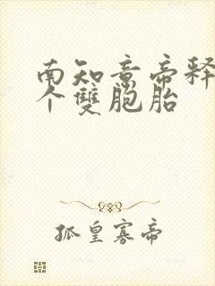 南知意帝释景四个双胞胎