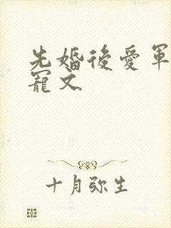 先婚后爱军婚甜宠文