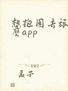 想抱团去旅游什么app
