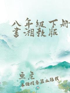 八年级下册物理书湘教版