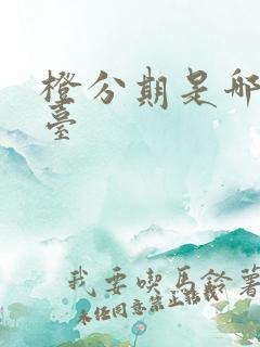 橙分期是哪个平台