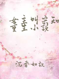 女主叫宋知意的重生小说