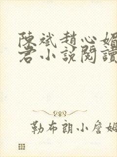 陈斌赵心媚高婉君小说阅读