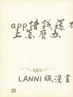 app借钱还不上怎么办