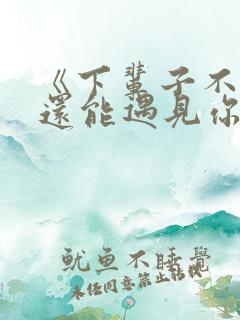 《下辈子不一定还能遇见你》