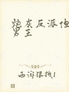 炮灰反派但攻了男主