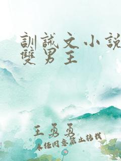 训诫文小说推荐双男主