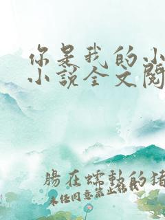 你是我的小确幸小说全文阅读