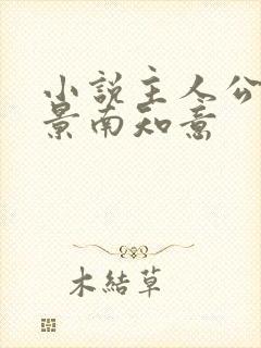 小说主人公帝释景南知意