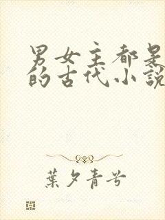 男女主都是穿越的古代小说