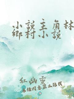小说主角林山的乡村小说