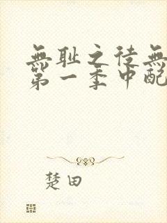 无耻之徒无删减第一季中配版