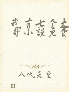 我有七个大佬哥哥小说免费观看