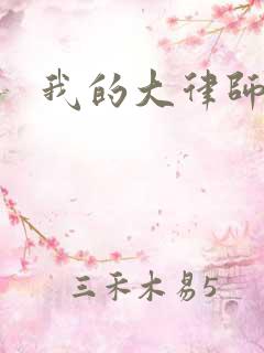 我的大律师小说