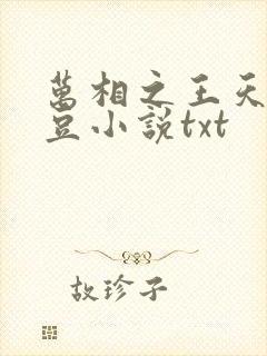 万相之王天蚕土豆小说txt