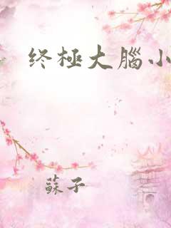 终极大脑小说